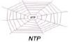 NTP