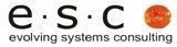 Evolving Systems Consulting